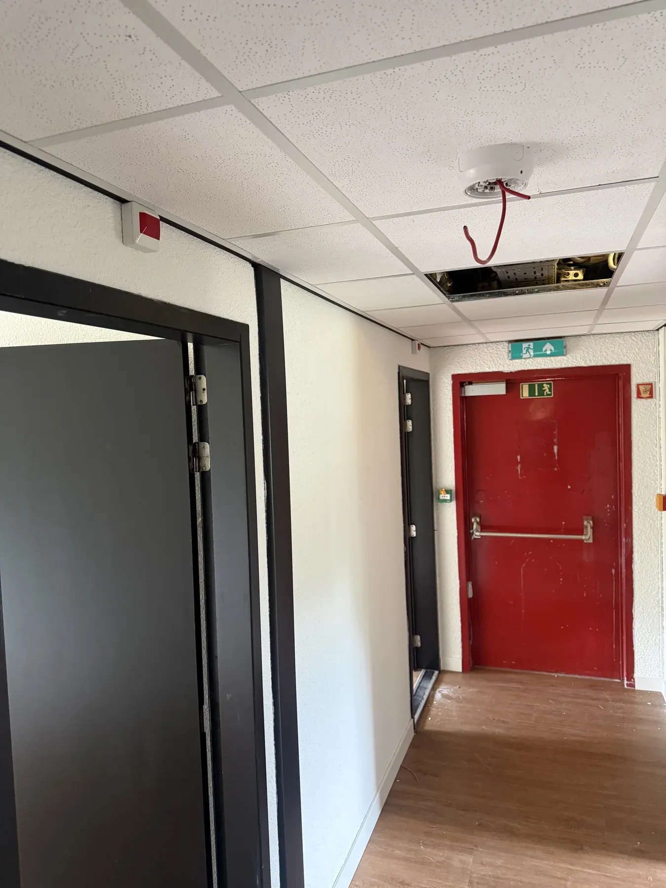 Kantoorgang met branddetectie aan het plafond en een rode branddeur