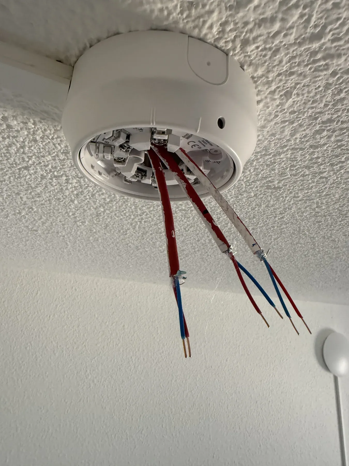 Rookmelder met aangesloten bekabeling aan een plafond